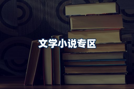 文学小说PDF展示